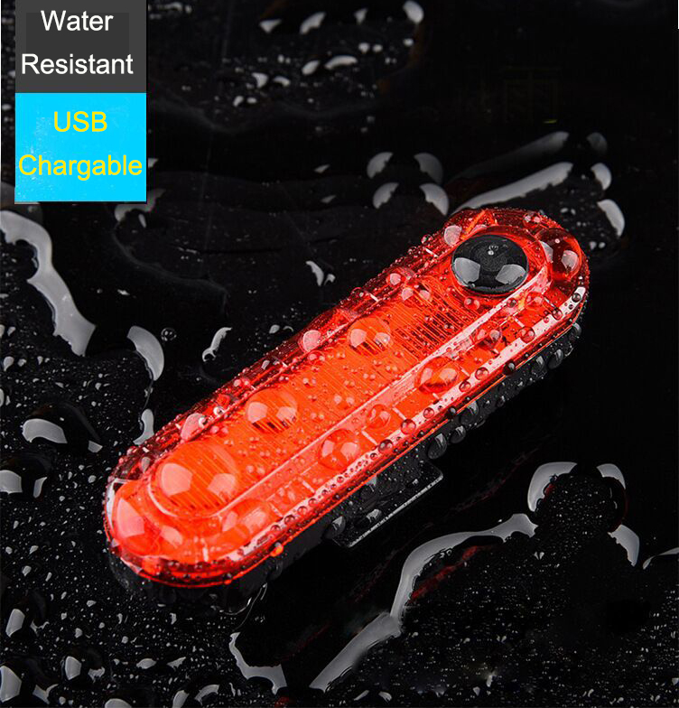 11386616293_1366586051