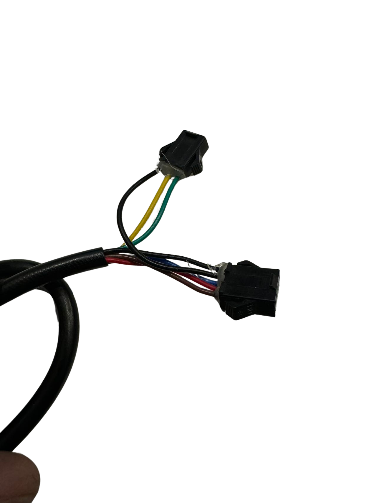 图片_20240729135633-removebg