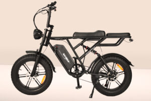 MY26 YISO 20 Inch Electric Fat Cruiser Bike 48V 250W/500W (FB-100)-Black