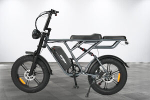 MY26 YISO 20 Inch Electric Fat Cruiser Bike 48V 250W/500W (FB-100)-Grey