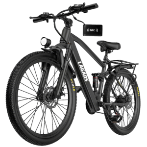 LAGADS Y29 Electric Bike